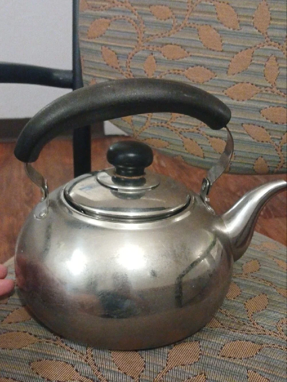 Potobelo Stainless Steel Teapot Kettle with Black Handle - Home Kitchen